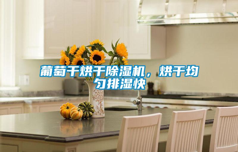葡萄干烘干除濕機(jī)，烘干均勻排濕快