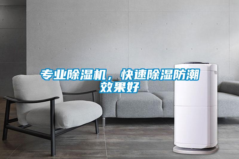 專業(yè)除濕機(jī)，快速除濕防潮效果好