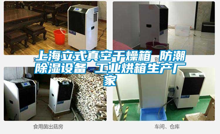上海立式真空干燥箱 防潮除濕設備 工業(yè)烘箱生產廠家