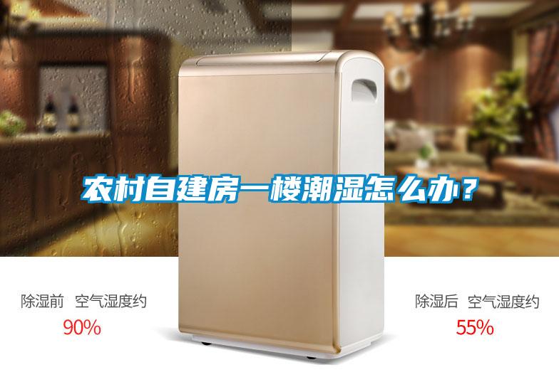 農村自建房一樓潮濕怎么辦？