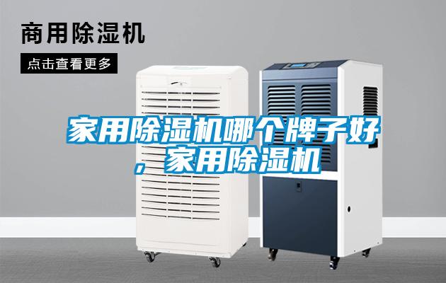 家用除濕機哪個牌子好，家用除濕機