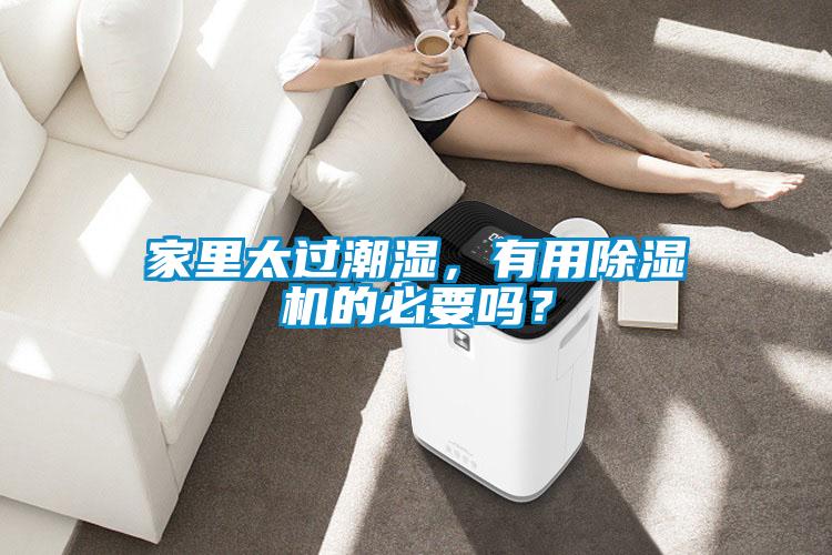 家里太過潮濕，有用除濕機的必要嗎？