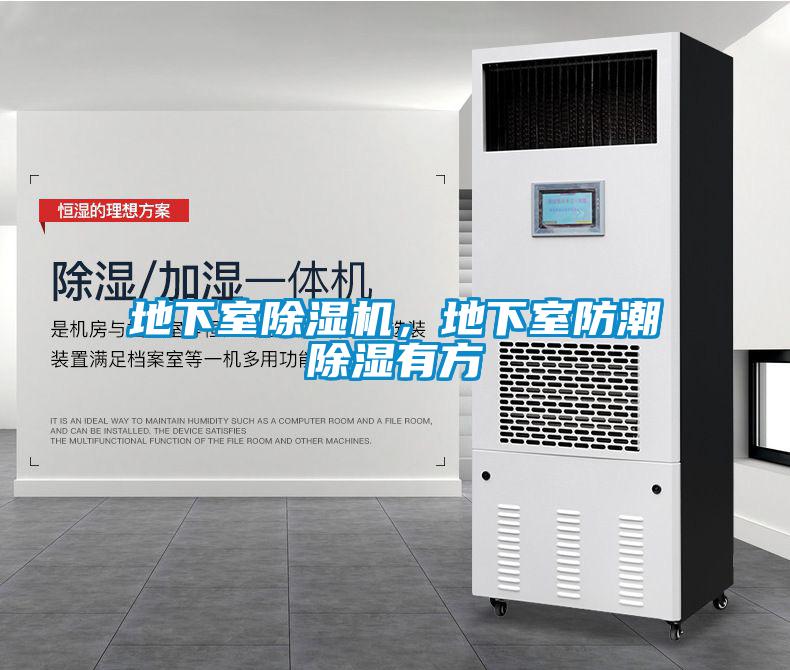 地下室除濕機，地下室防潮除濕有方