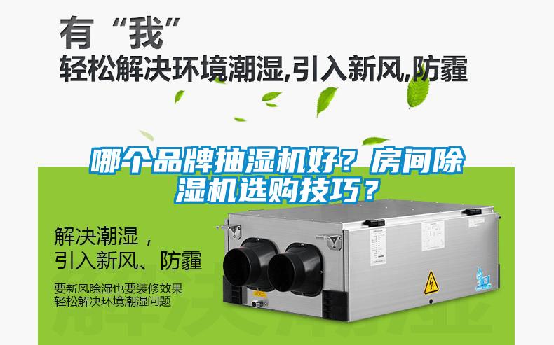 哪個品牌抽濕機好？房間除濕機選購技巧？