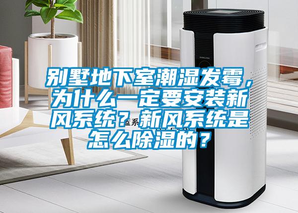 別墅地下室潮濕發霉，為什么一定要安裝新風系統？新風系統是怎么除濕的？