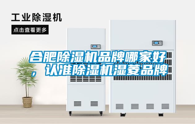 合肥除濕機(jī)品牌哪家好，認(rèn)準(zhǔn)除濕機(jī)濕菱品牌