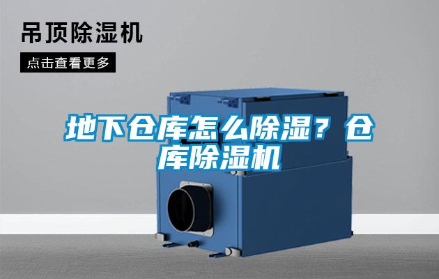 地下倉庫怎么除濕？倉庫除濕機(jī)