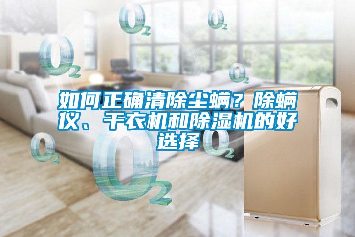 如何正確清除塵螨？除螨儀、干衣機和除濕機的好選擇
