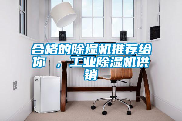 合格的除濕機推薦給你 ，工業除濕機供銷