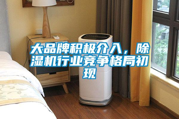 大品牌積極介入，除濕機行業競爭格局初現