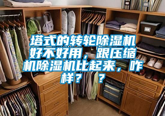 塔式的轉輪除濕機好不好用，跟壓縮機除濕機比起來，咋樣？ ？