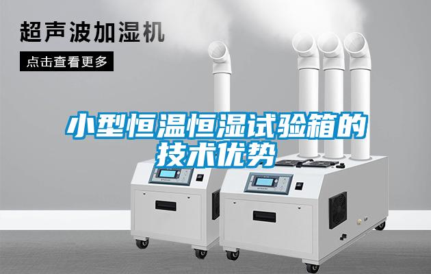 小型恒溫恒濕試驗(yàn)箱的技術(shù)優(yōu)勢(shì)