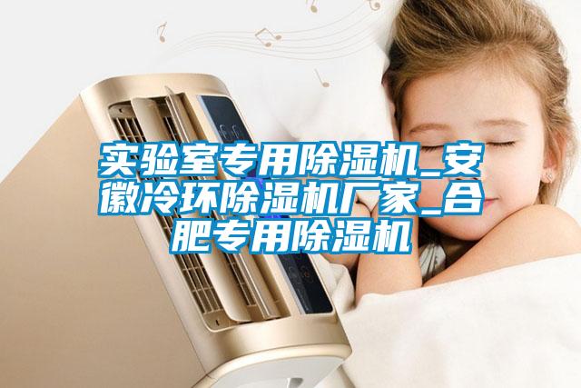 實(shí)驗(yàn)室專(zhuān)用除濕機(jī)_安徽冷環(huán)除濕機(jī)廠(chǎng)家_合肥專(zhuān)用除濕機(jī)