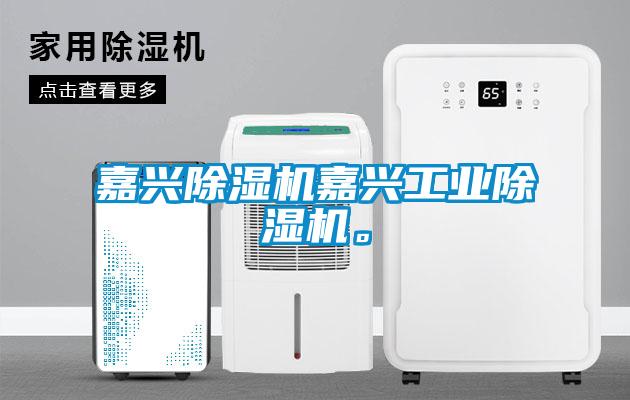 嘉興除濕機嘉興工業除濕機。
