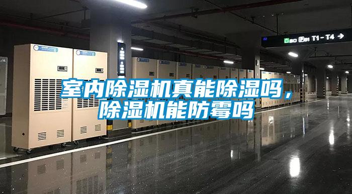 室內除濕機真能除濕嗎，除濕機能防霉嗎