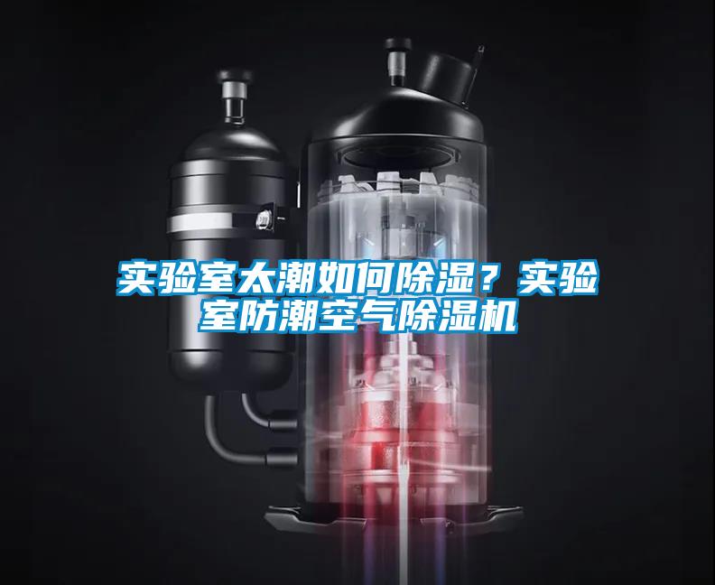 實驗室太潮如何除濕？實驗室防潮空氣除濕機(jī)