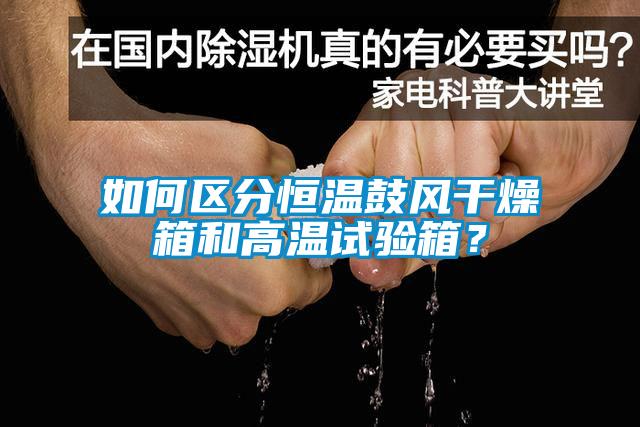 如何區(qū)分恒溫鼓風干燥箱和高溫試驗箱？
