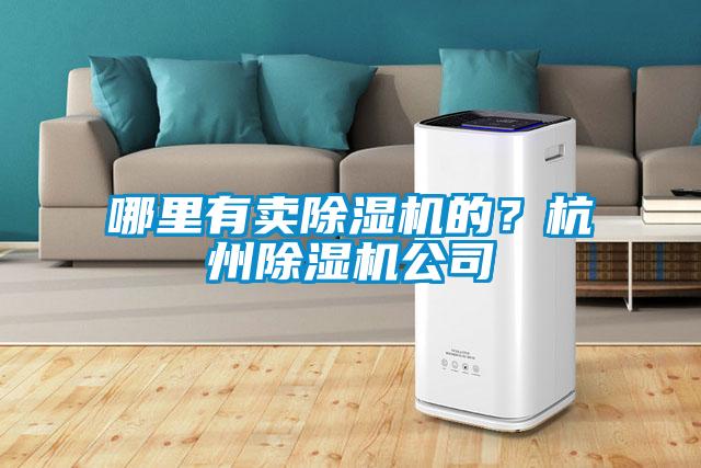 哪里有賣除濕機(jī)的？杭州除濕機(jī)公司