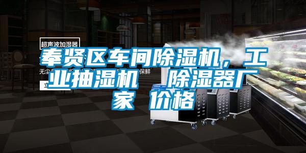 奉賢區車間除濕機，工業抽濕機  除濕器廠家 價格
