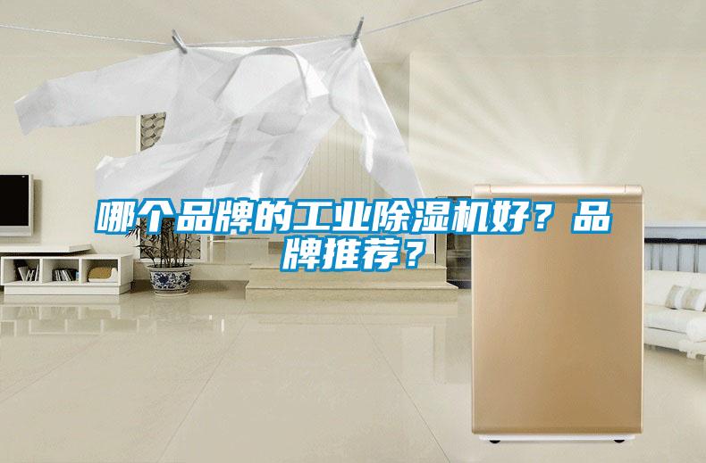 哪個(gè)品牌的工業(yè)除濕機(jī)好？品牌推薦？