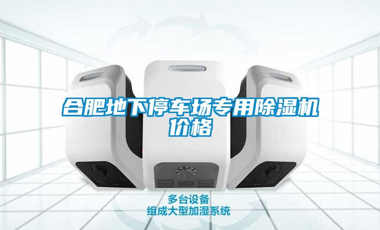 合肥地下停車場專用除濕機(jī)價格