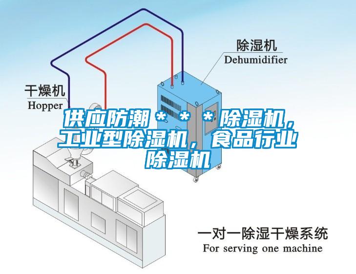 供應防潮＊＊＊除濕機，工業型除濕機，食品行業除濕機