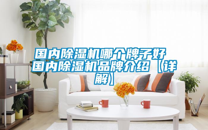 國內(nèi)除濕機哪個牌子好 國內(nèi)除濕機品牌介紹【詳解】