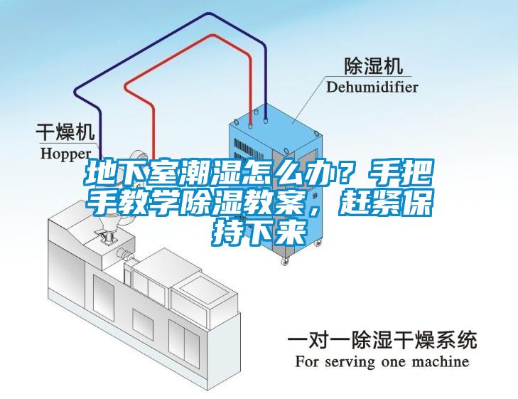 地下室潮濕怎么辦？手把手教學除濕教案，趕緊保持下來