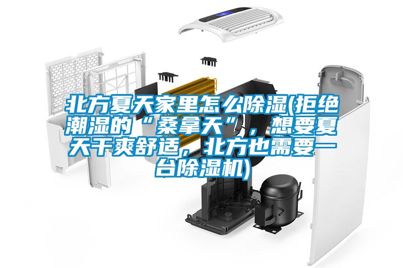 北方夏天家里怎么除濕(拒絕潮濕的“桑拿天”，想要夏天干爽舒適，北方也需要一臺除濕機)