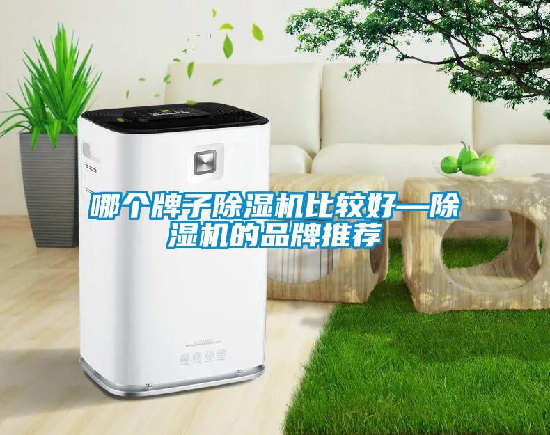 哪個牌子除濕機(jī)比較好—除濕機(jī)的品牌推薦