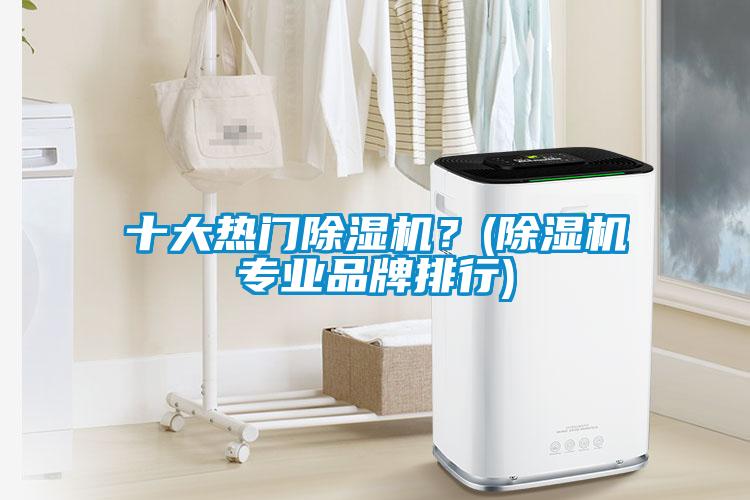 十大熱門除濕機？(除濕機專業(yè)品牌排行)