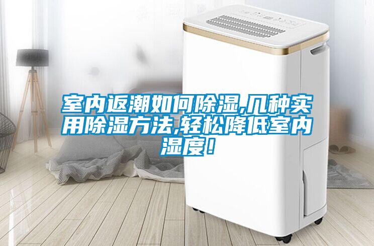 室內(nèi)返潮如何除濕,幾種實(shí)用除濕方法,輕松降低室內(nèi)濕度！