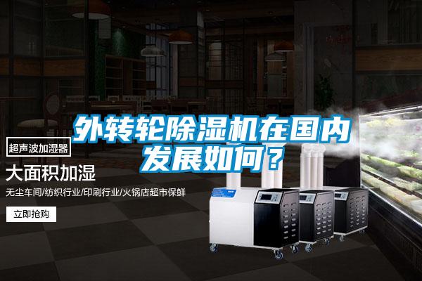 外轉輪除濕機在國內發展如何？