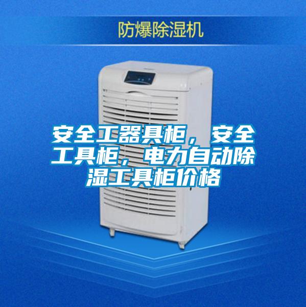 安全工器具柜，安全工具柜，電力自動除濕工具柜價格