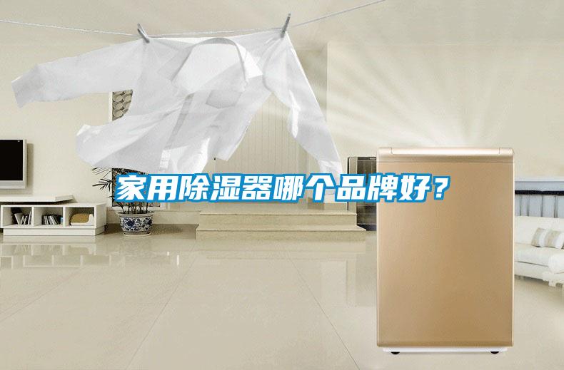 家用除濕器哪個(gè)品牌好？