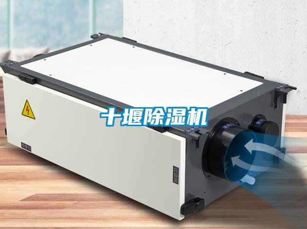 十堰除濕機(jī)