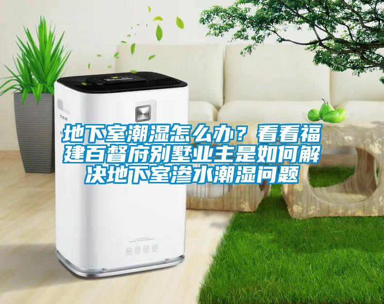 地下室潮濕怎么辦？看看福建百督府別墅業(yè)主是如何解決地下室滲水潮濕問題