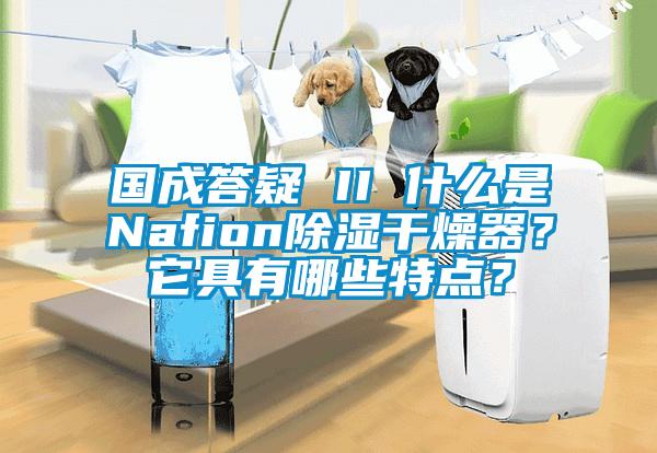 國成答疑 II 什么是Nafion除濕干燥器？它具有哪些特點(diǎn)？