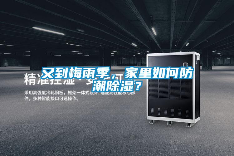 又到梅雨季，家里如何防潮除濕？