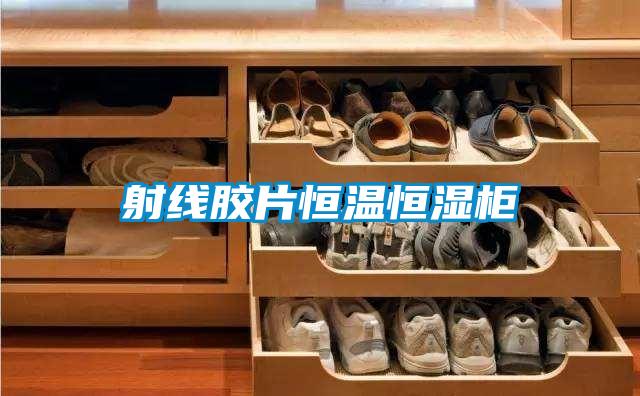 射線(xiàn)膠片恒溫恒濕柜