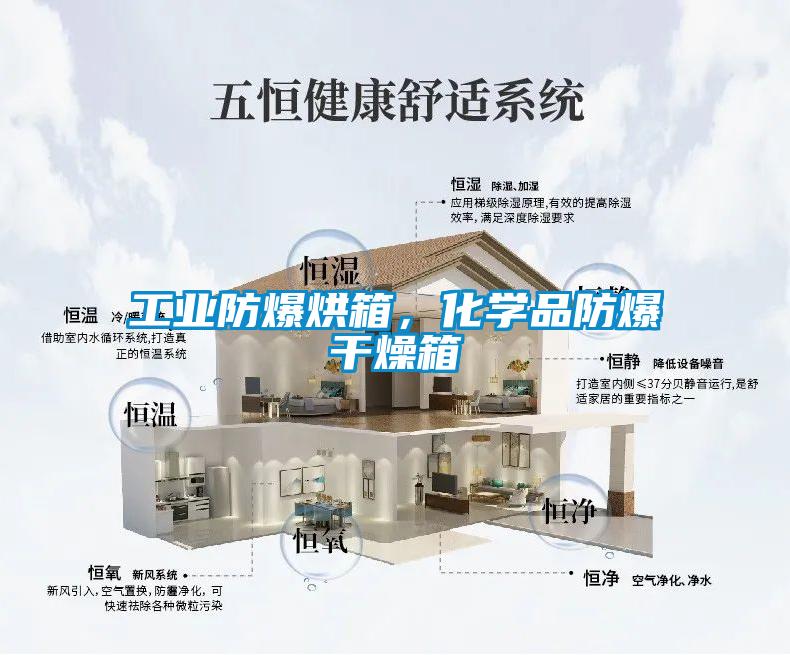 工業防爆烘箱，化學品防爆干燥箱