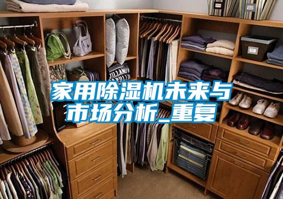 家用除濕機(jī)未來與市場分析_重復(fù)