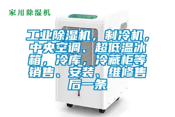 工業(yè)除濕機(jī)，制冷機(jī)，中央空調(diào)、超低溫冰箱，冷庫(kù)，冷藏柜等銷售、安裝、維修售后一條