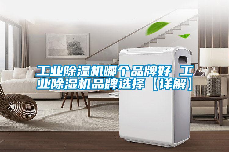 工業(yè)除濕機哪個品牌好 工業(yè)除濕機品牌選擇【詳解】