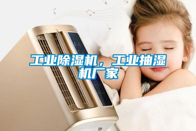 工業(yè)除濕機，工業(yè)抽濕機廠家