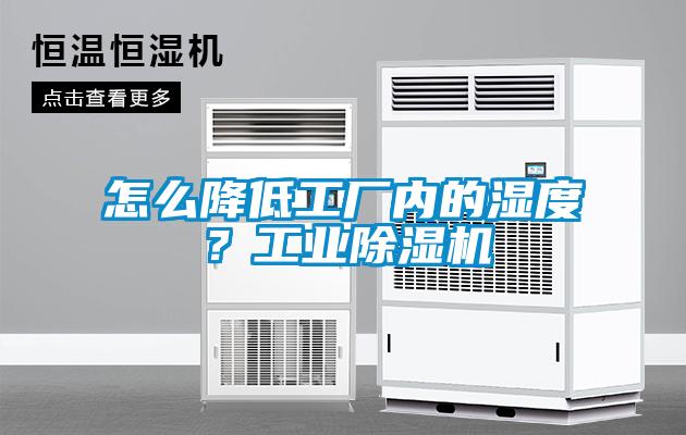 怎么降低工廠內的濕度？工業除濕機