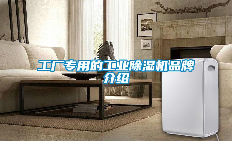 工廠專用的工業(yè)除濕機(jī)品牌介紹