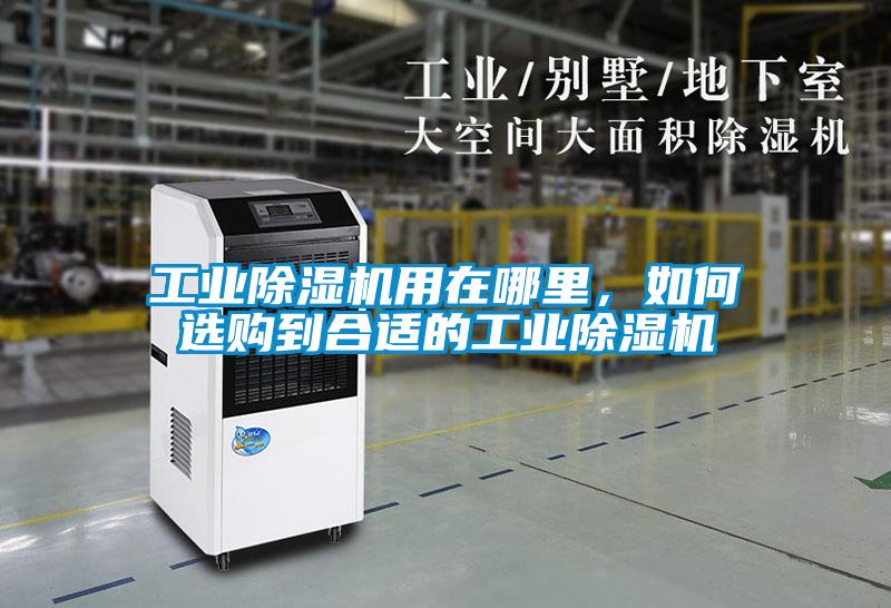 工業除濕機用在哪里，如何選購到合適的工業除濕機