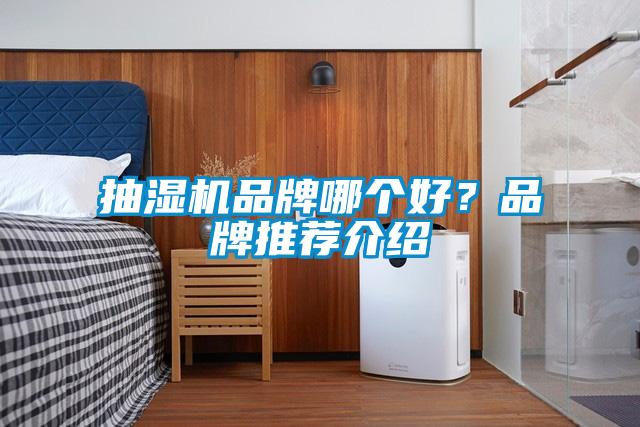 抽濕機品牌哪個好？品牌推薦介紹