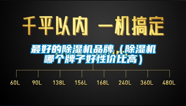 最好的除濕機(jī)品牌（除濕機(jī)哪個(gè)牌子好性?xún)r(jià)比高）